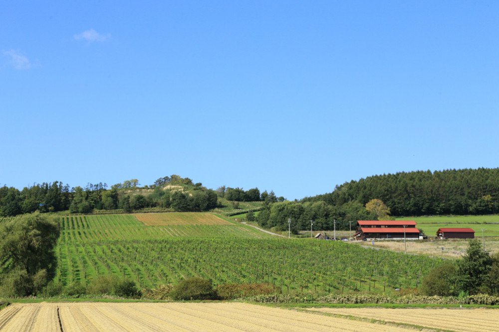 仲間と共に若手醸造家が造り上げるワイン【宝水ワイナリー】｜そらち
